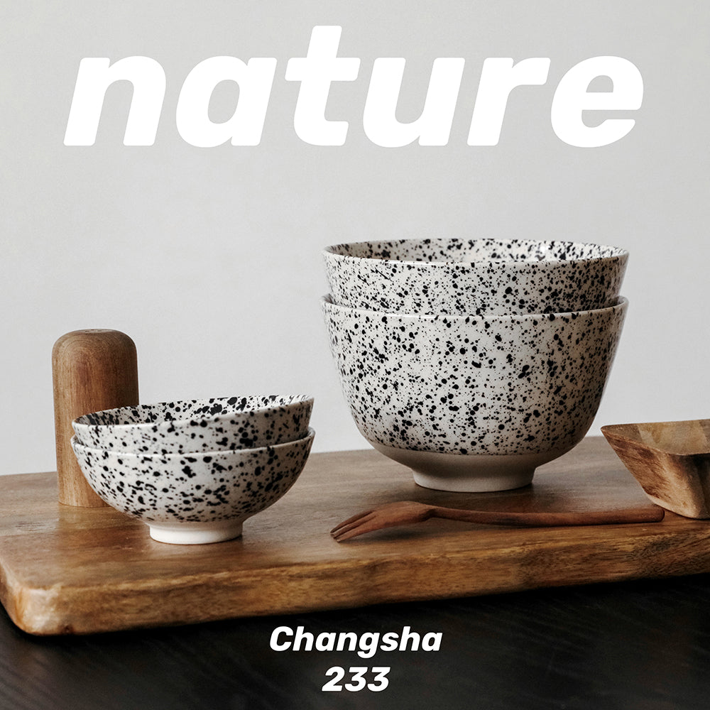Ink-Splashed Ramen Bowl and Rice Bowl